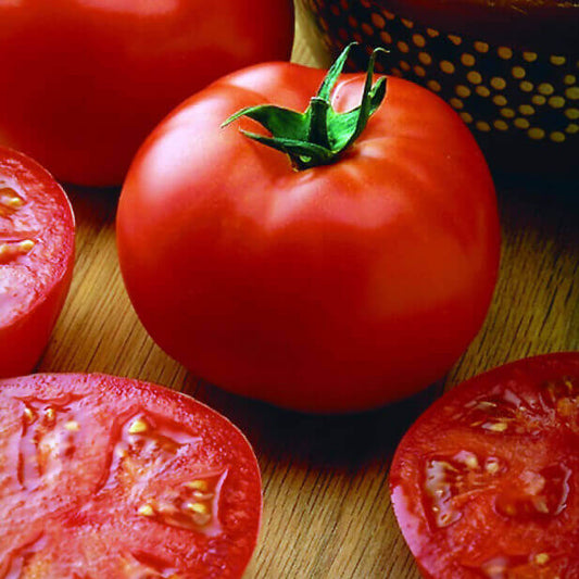 Tomato Big Beef Hybird OSC Seed