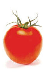 Tomato Bonny Best Improved OSC Seeds