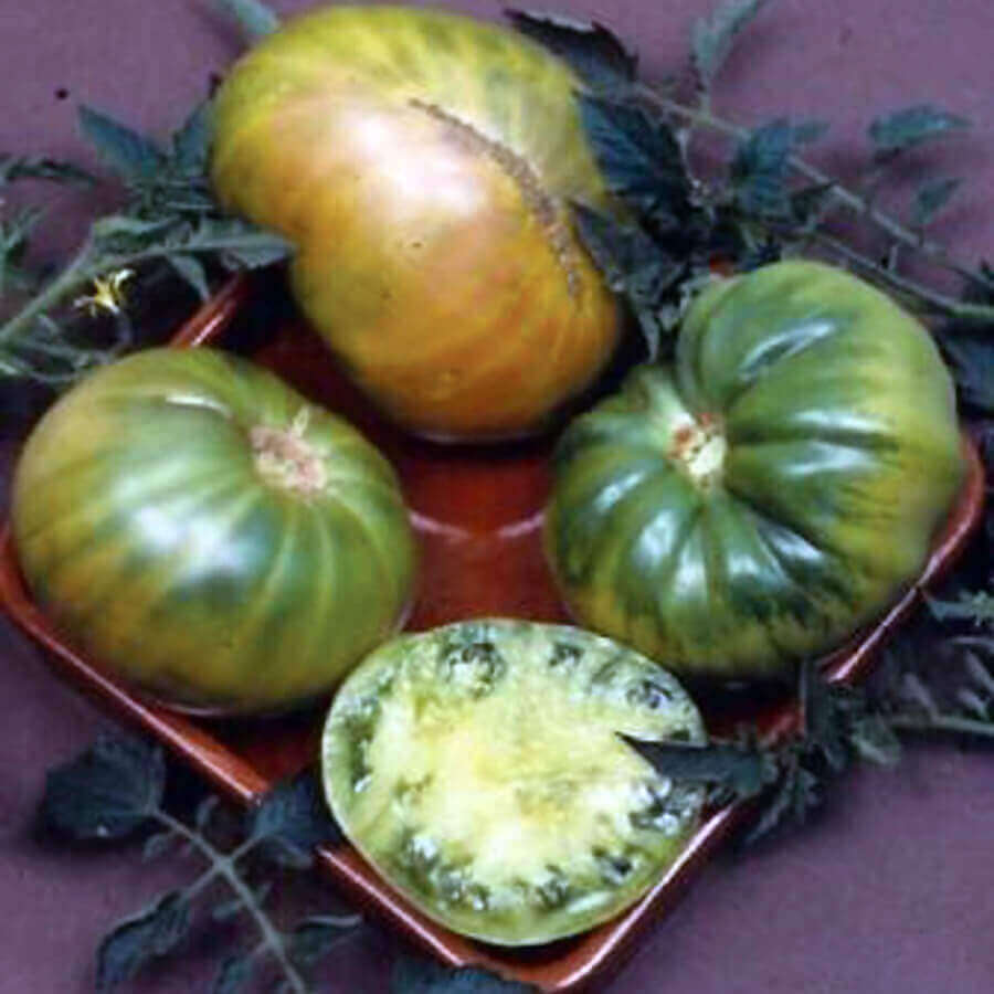 Tomato Heirloom Aunt Ruby's German Green OSC Seeds