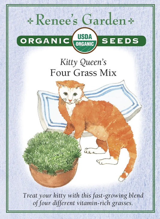 Four Grass Mix Kitty Queen's