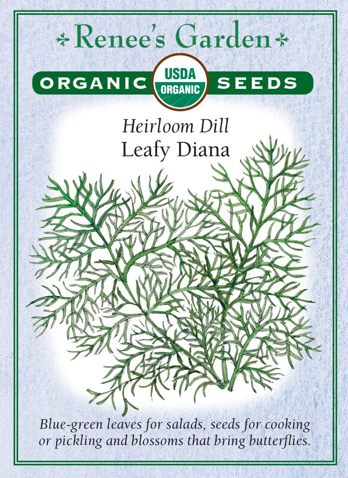 Dill Heirloom Leafy Diana