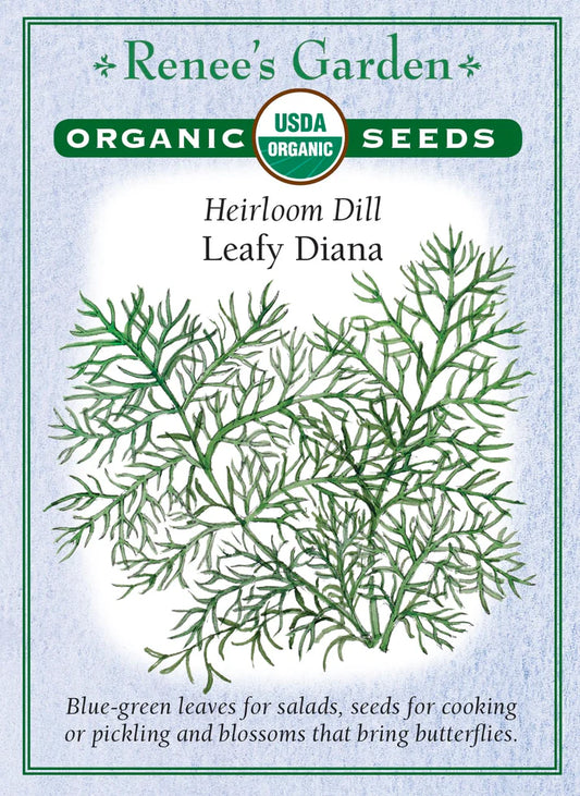 Dill Heirloom Leafy Diana