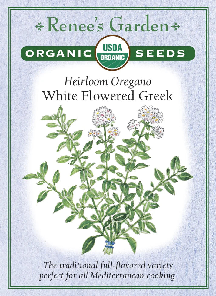 Oregano White Flowered Greek