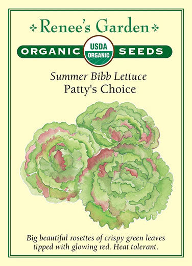 Lettuce Summer Bibb Patty's Choice