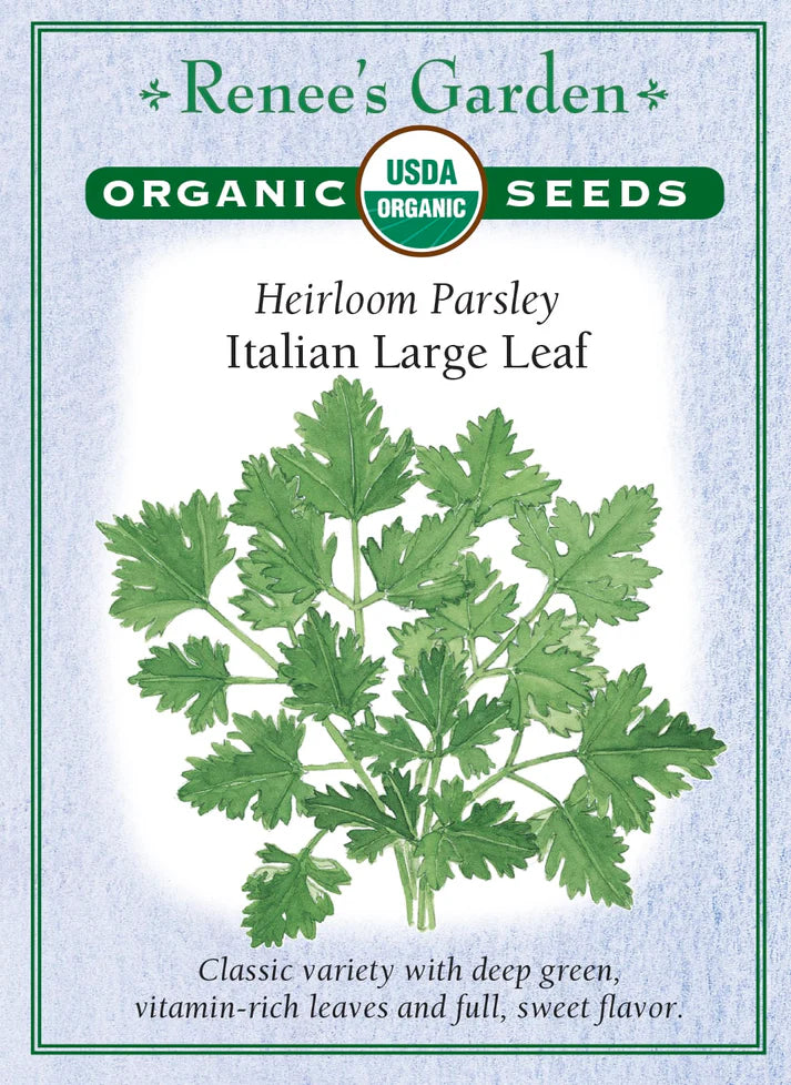 Parsley Italian Large Leaf
