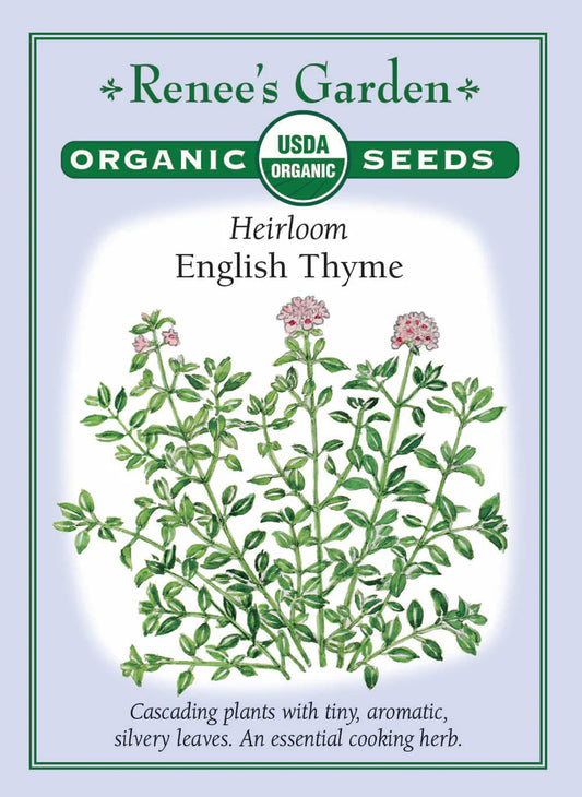 Thyme English Heirloom
