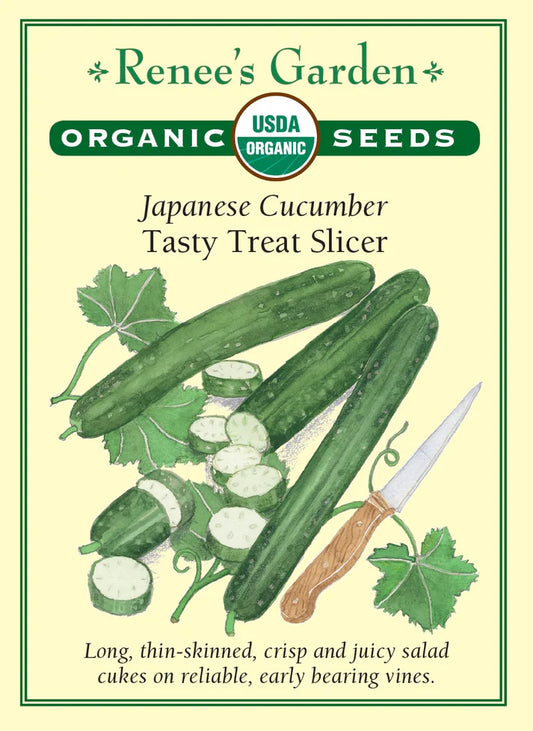 Cucumber Tasty Treat Organic