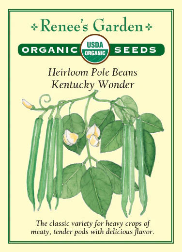 Beans Pole Kentucky Wonder