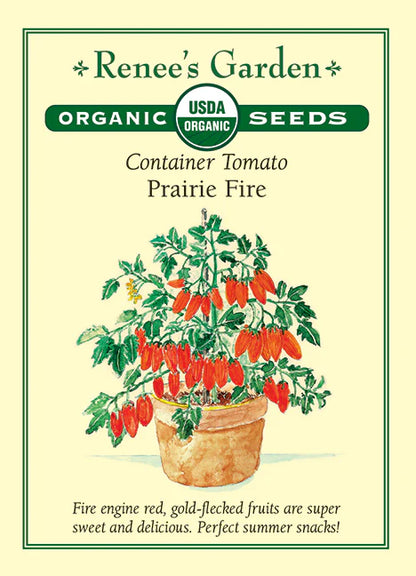 Tomato Prairie Fire Organic