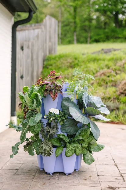 GreenStalk 3 Tier Original Lilac