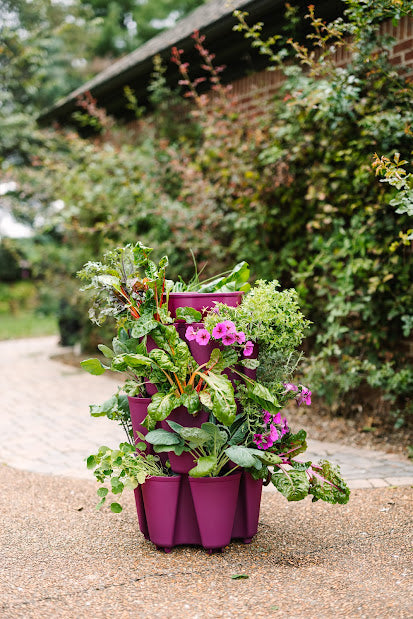 GreenStalk 3 Tier Original Razzleberry