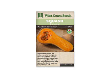 Squash Waltham Butternut Organic WCS Seed