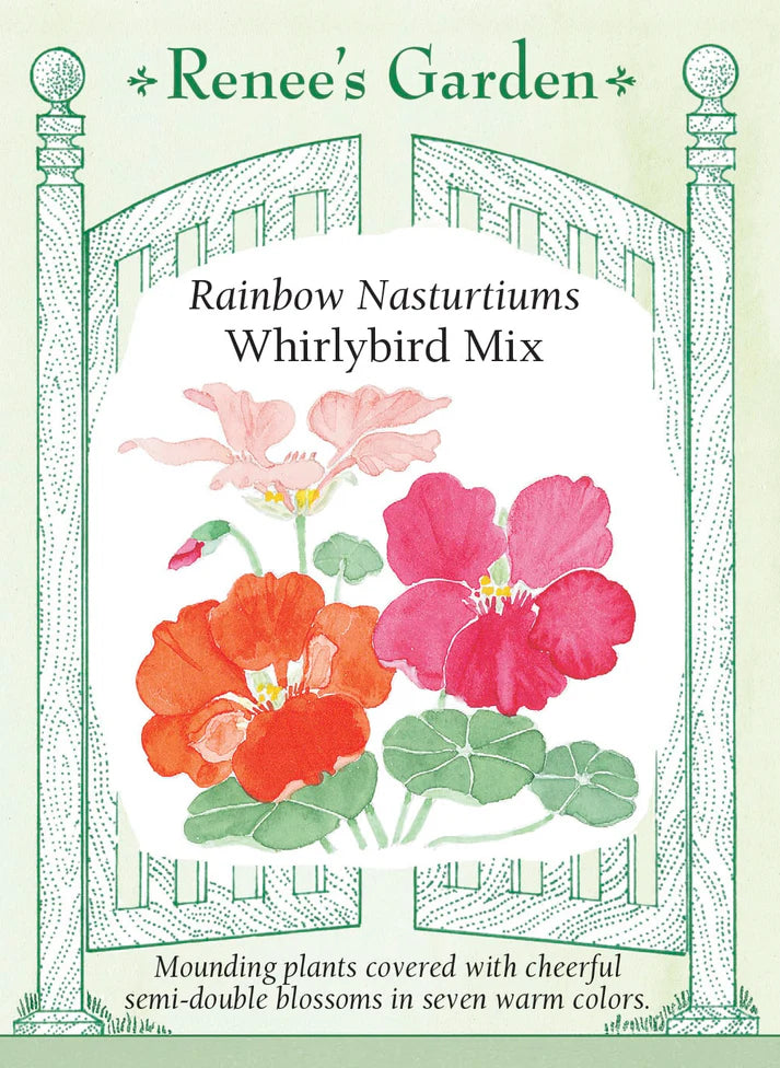 Nasturtium Whirlybird Mix