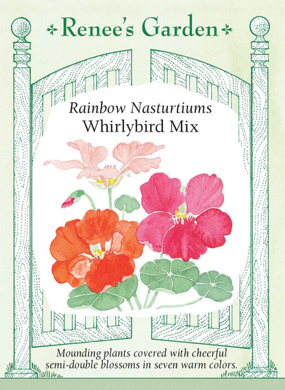 Nasturtium Whirlybird Mix