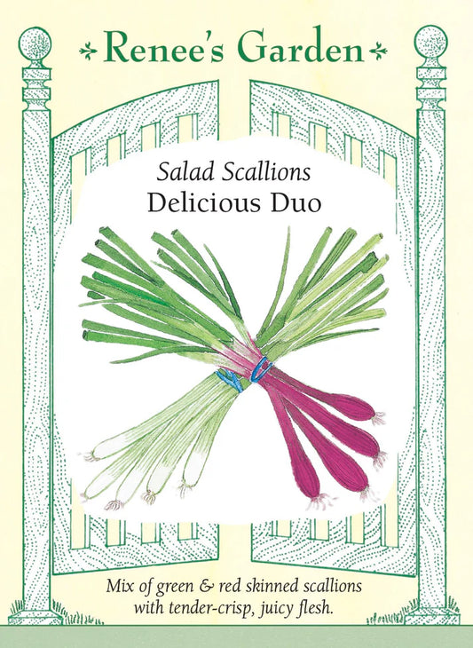 Onion Scallions Delicious Duo