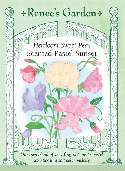 Sweet Pea Scented Pastel Sunset