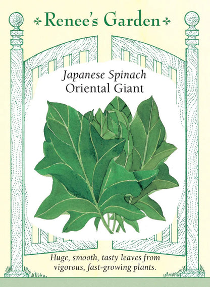 Spinach Japanese Oriental Giant