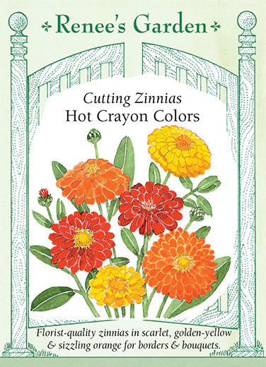 Zinnia Hot Crayon Colours Cutting