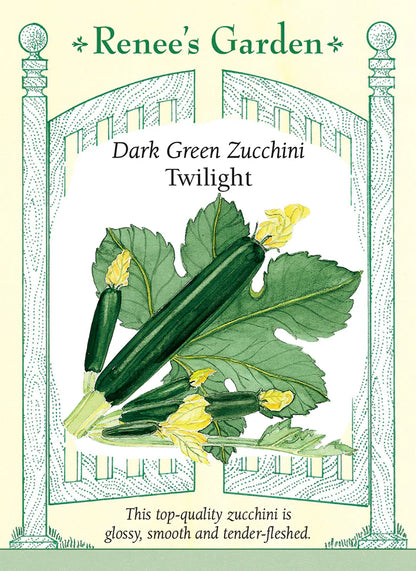 Squash Dark Green Zucchini