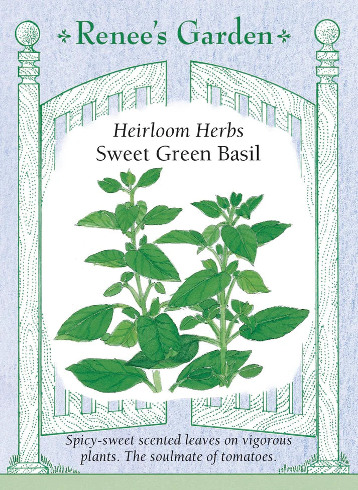 Basil Sweet Green