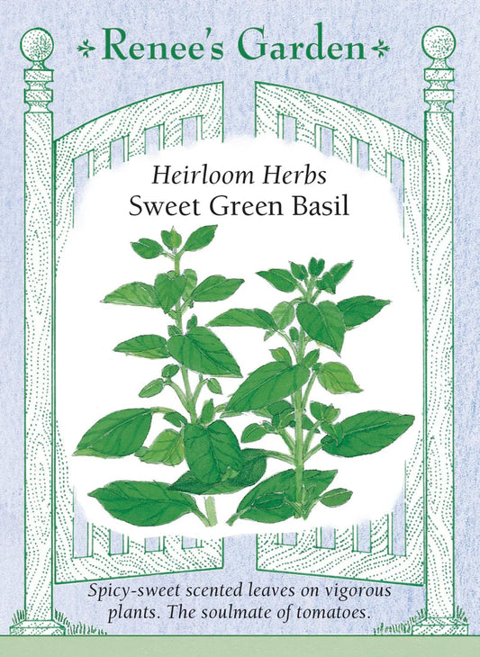 Basil Sweet Green