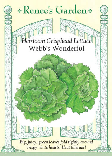 Lettuce Heirloom Webb's Wonderful