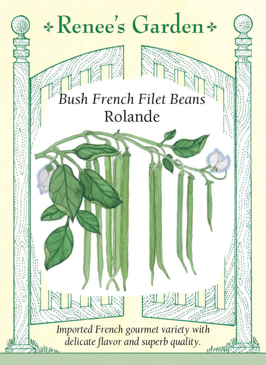 Bean Bush Rolande Organic