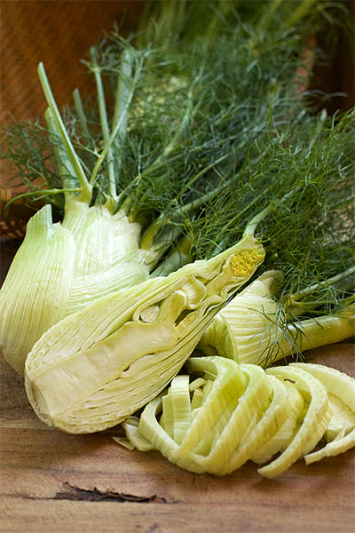 Fennel Bulbing Trieste