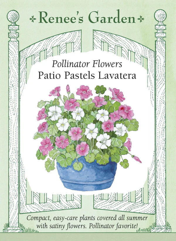 Lavatera Patio Pastels