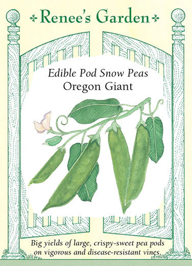 Pea Oregon Giant Snow Pea