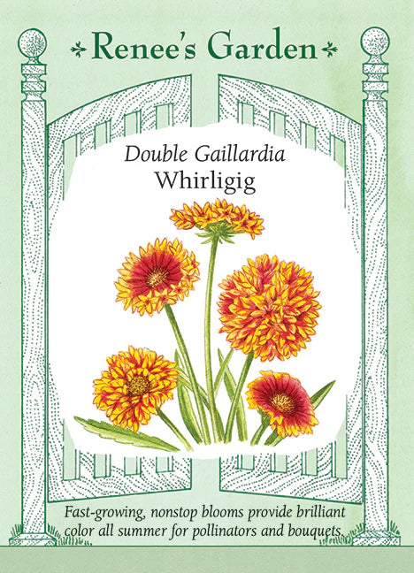 Gaillardia Double Whirligig