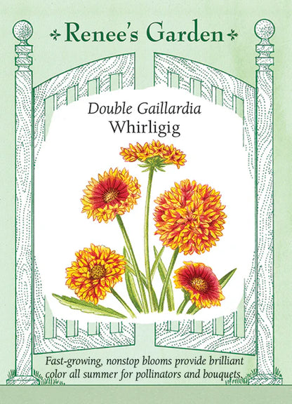 Gaillardia Double Whirligig
