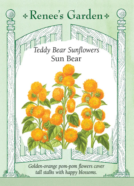 Sunflower Sun Bear