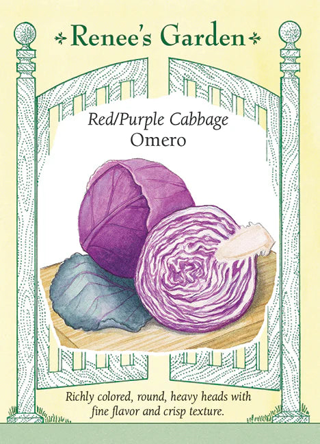 Cabbage Red Omero