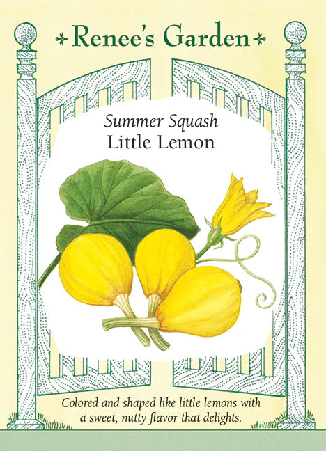 Squash Little Lemon