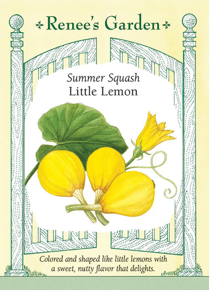 Squash Little Lemon