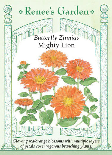 Zinnia Mighty Lion