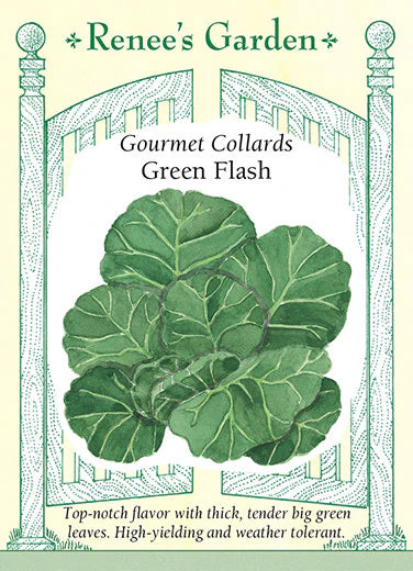 Collards Green Flash