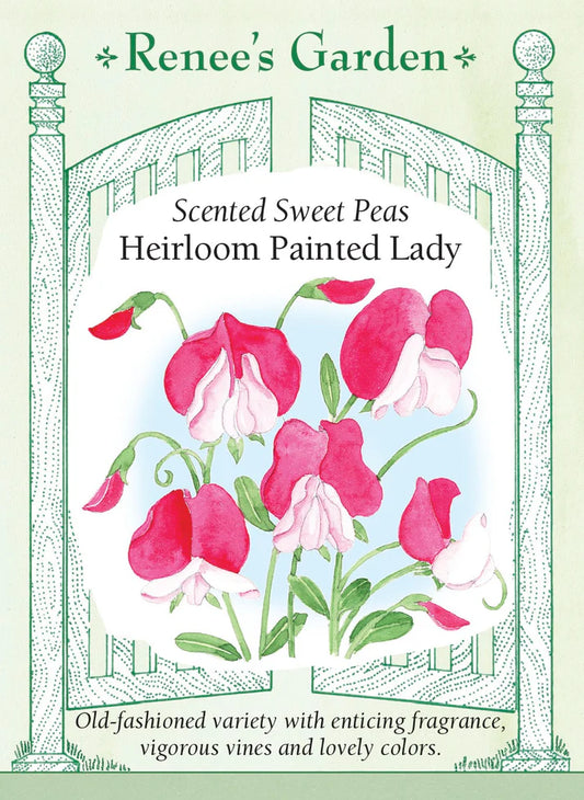 Sweet Pea Heirloom Painted Lady