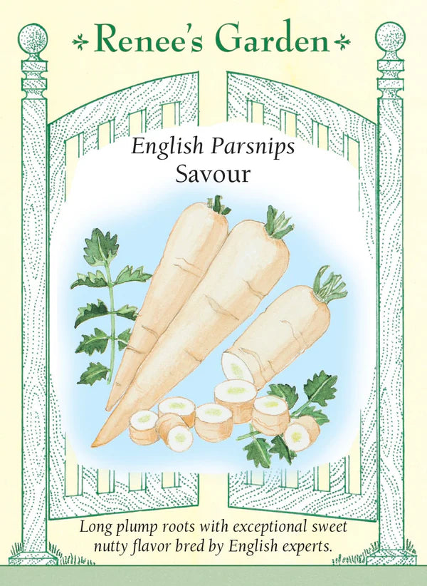 Parsnips English Savour