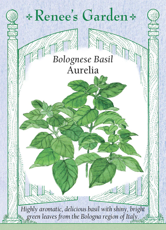 Basil Bolognese Aurelia