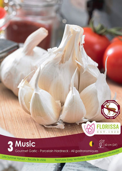 Garlic Music Hardneck Bulb - 3pk