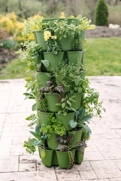 GreenStalk 7 Tier Evergreen