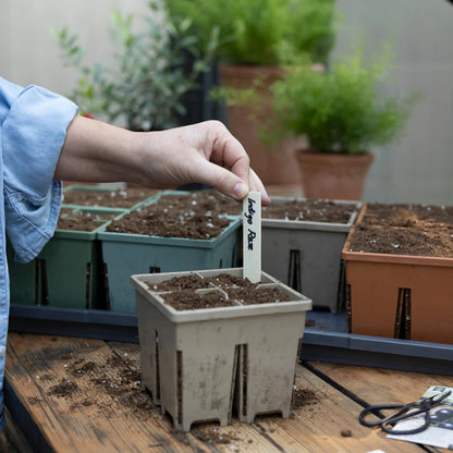 Sproutbox 4-Cell Seed Starter