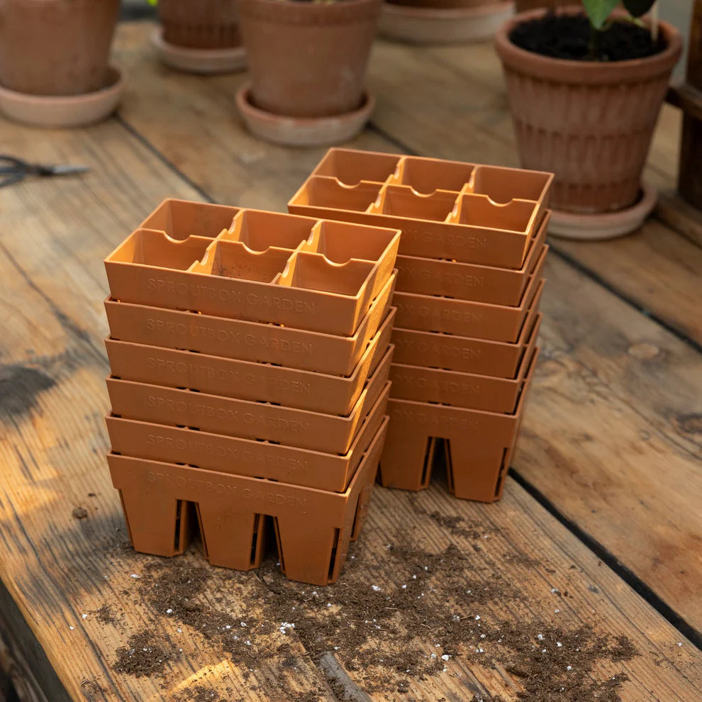 Sproutbox 6-Cell Seed Starter