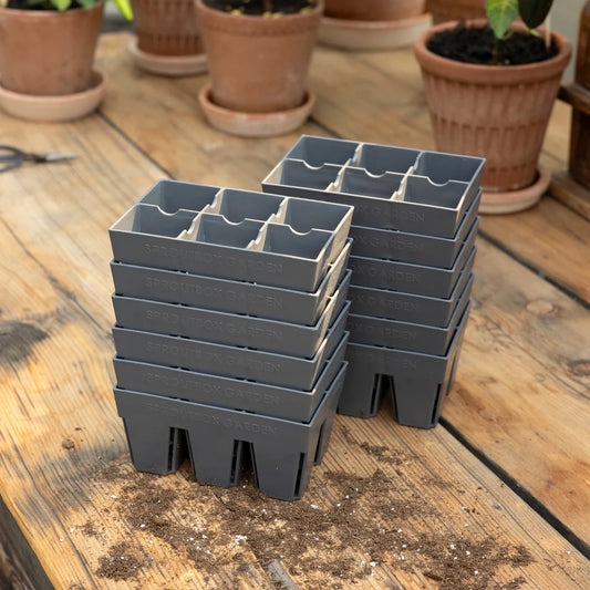 Sproutbox 6-Cell Seed Starter