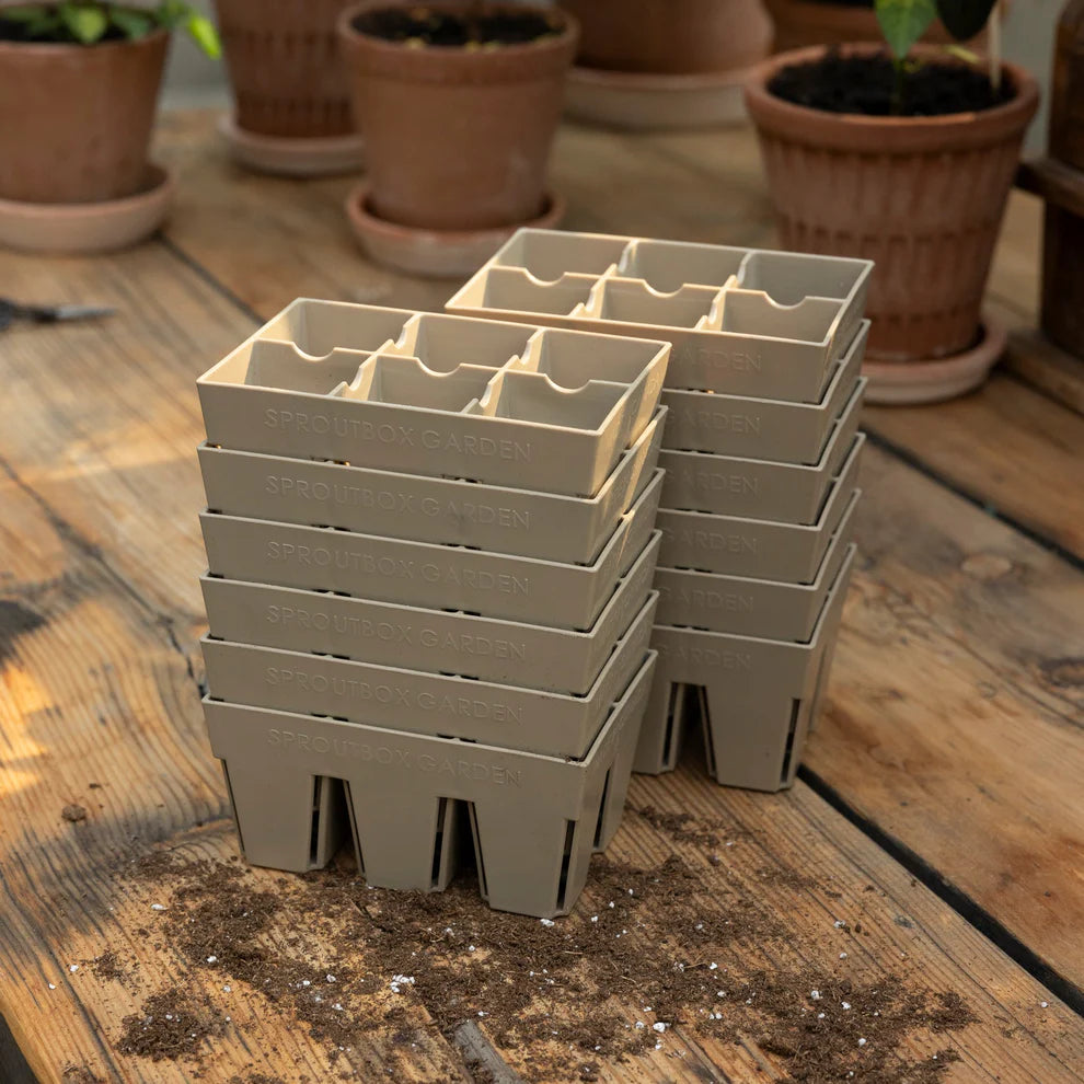 Sproutbox 6-Cell Seed Starter