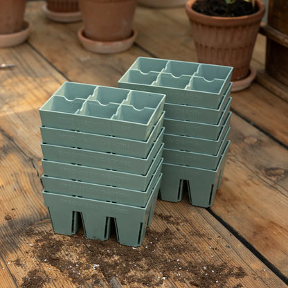 Sproutbox 6-Cell Seed Starter