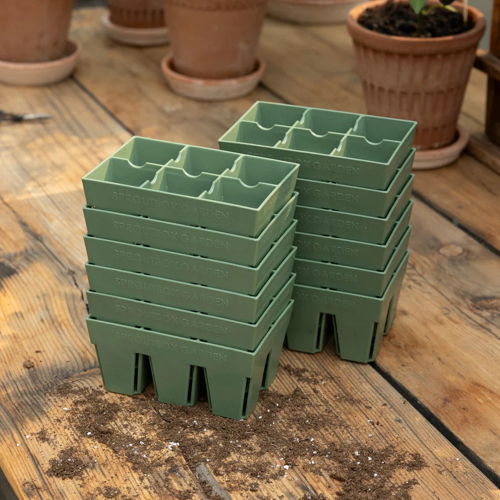 Sproutbox 6-Cell Seed Starter