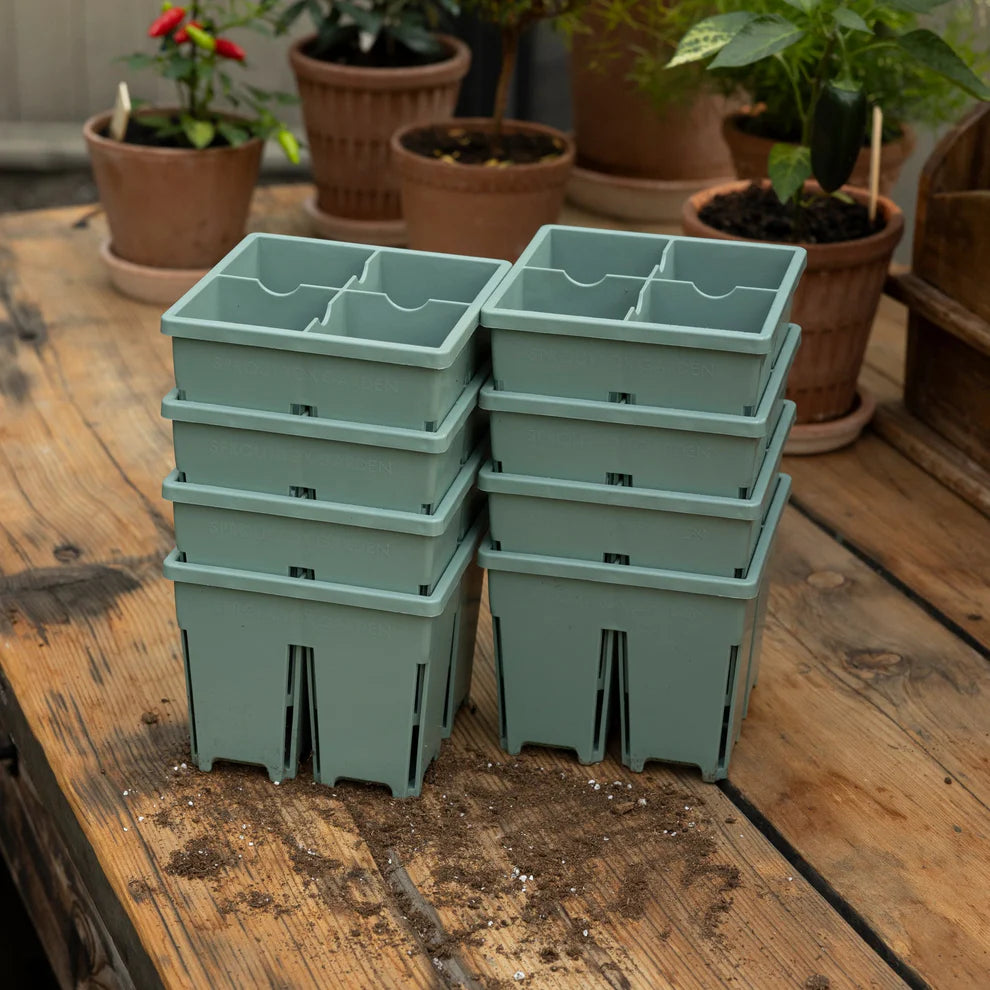 Sproutbox 4-Cell Seed Starter
